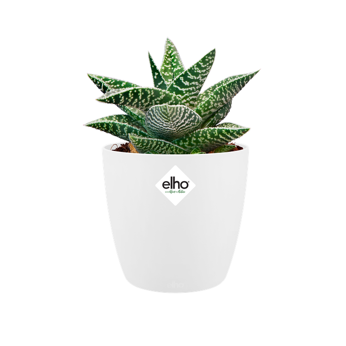 brussels round mini 12,5cm white